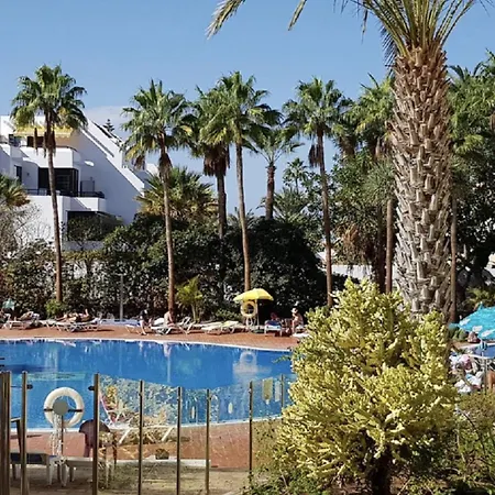 Shining Gold By Deihu Experiences Daire